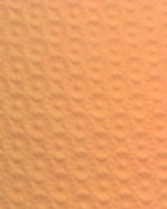 070906_orange.jpg