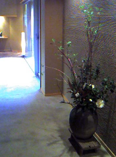 080320_asebino3.jpg